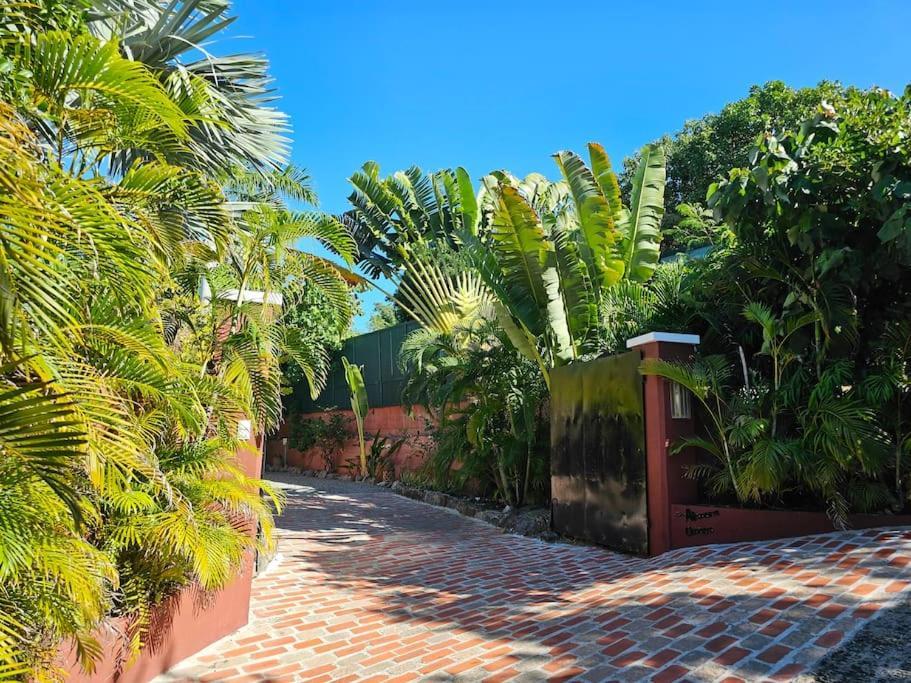 Villa African Queen - St Barth Gustavia Exterior foto