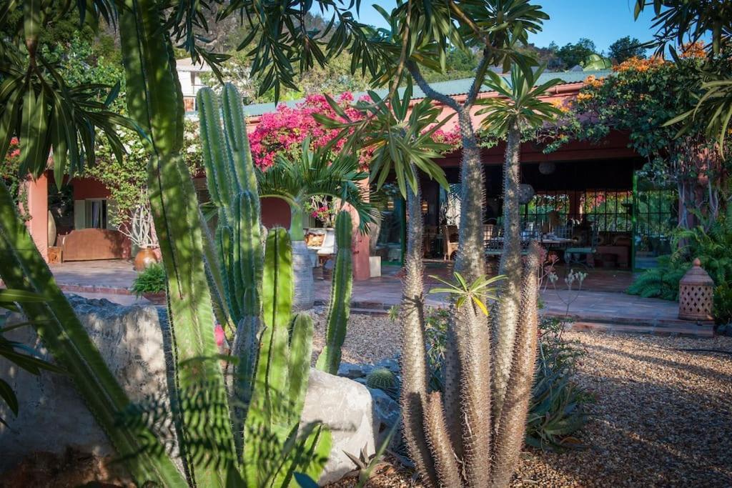 Villa African Queen - St Barth Gustavia Exterior foto